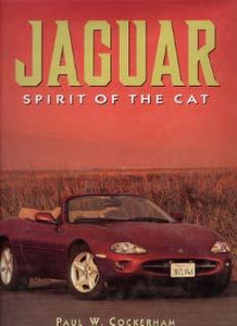 Jaguar - Spirit of the Cat