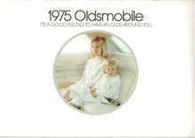 Laden Sie das Bild in den Galerie-Viewer, Oldsmobile 1975