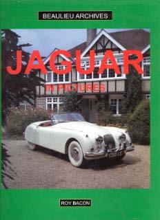 JAGUAR - in pictures